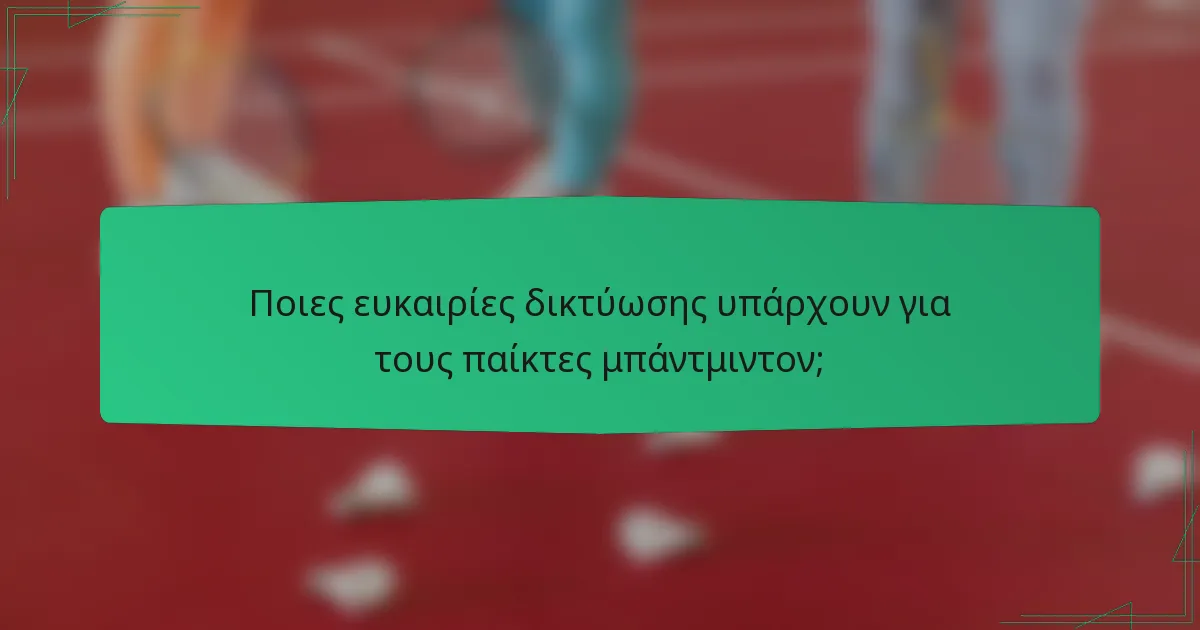Ποιες ευκαιρίες δικτύωσης υπάρχουν για τους παίκτες μπάντμιντον;